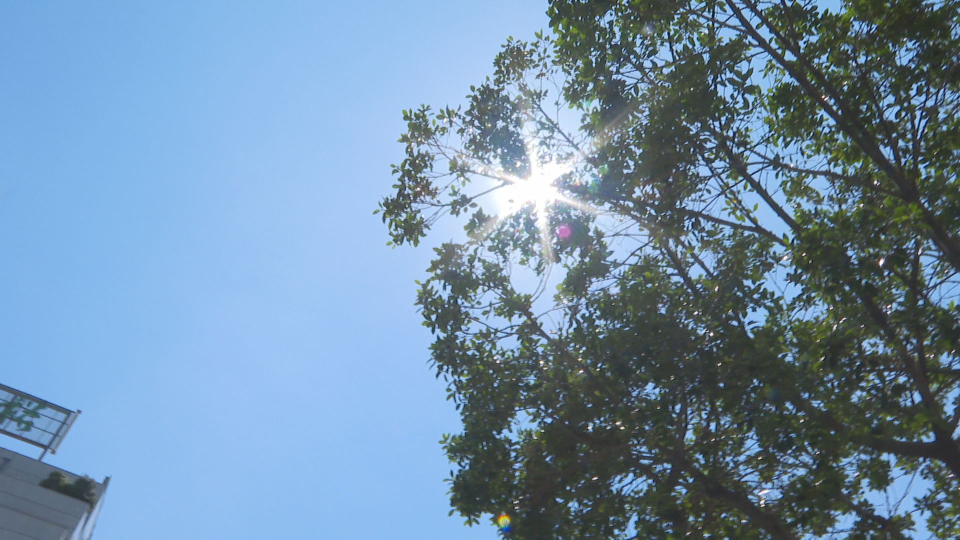 把握今明好天氣「東部、恆春零星降雨」　週五起水氣增