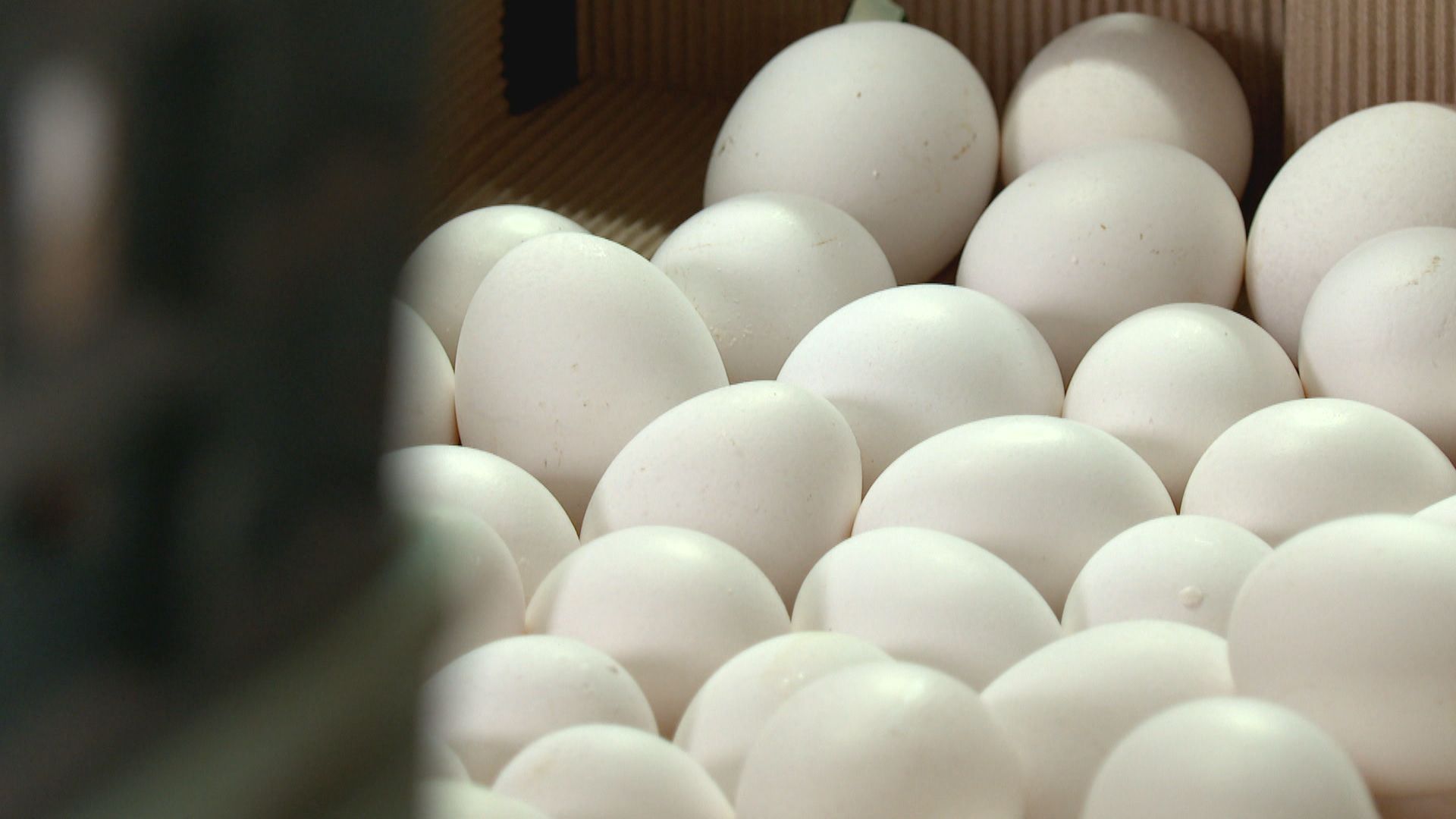 因大罷免凍漲蛋價？　陳駿季否認：價格由市場決定