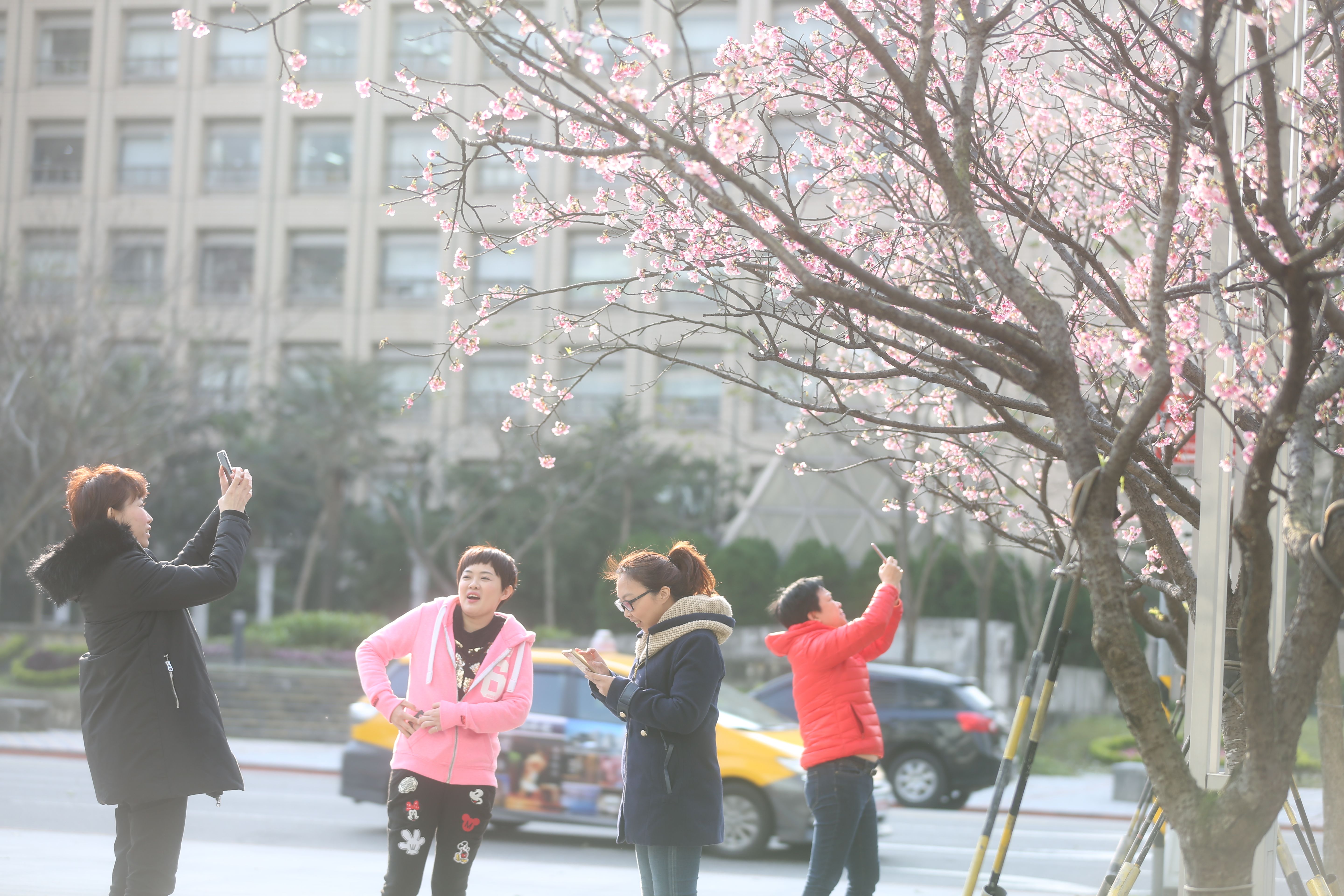 各地晴朗穩定、日夜溫差大　週五起鋒面＋冷空氣影響「又轉濕冷」