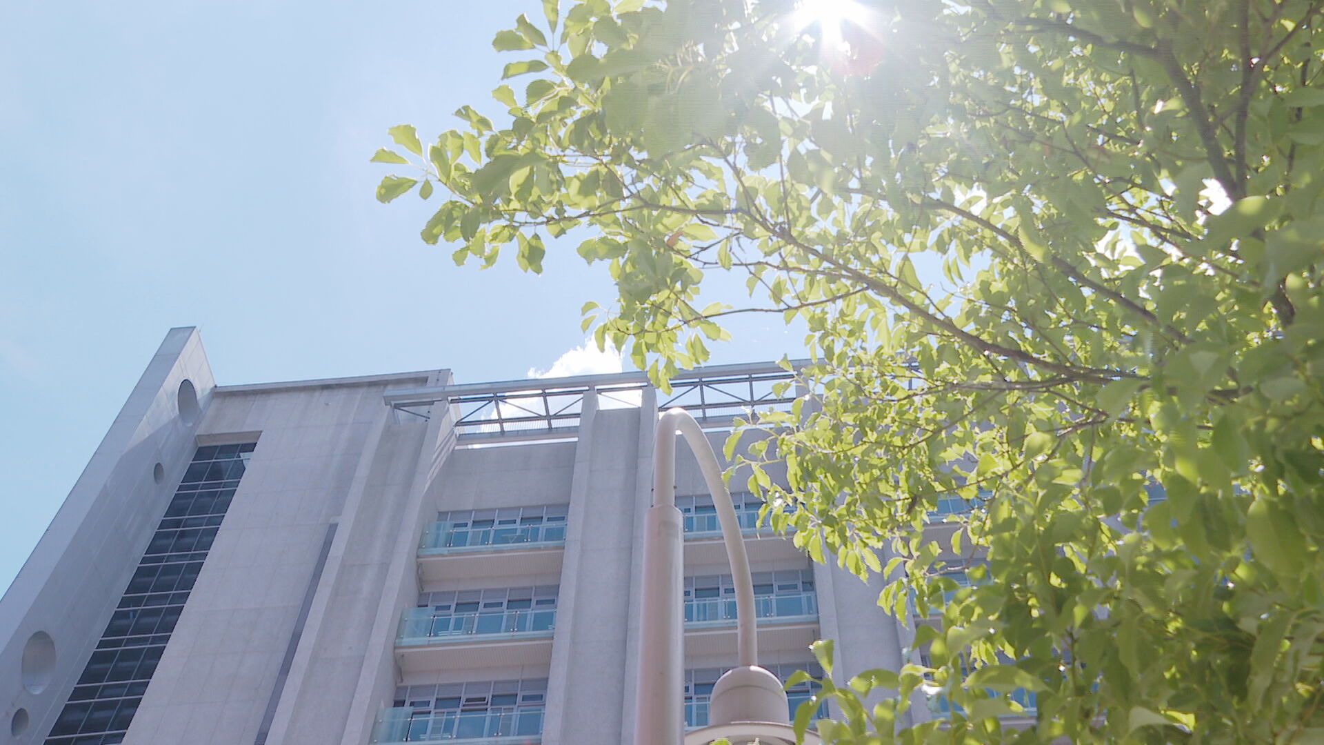 把握好天氣「各地晴到多雲」日夜溫差大　週五又有鋒面到