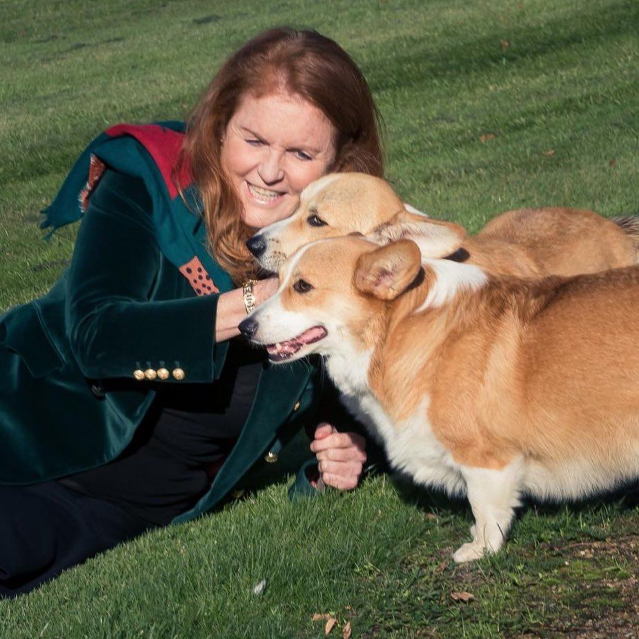 10月15日約克公爵夫人莎拉，分享了女王兩隻柯基犬的近況。（IG sarahferguson15）