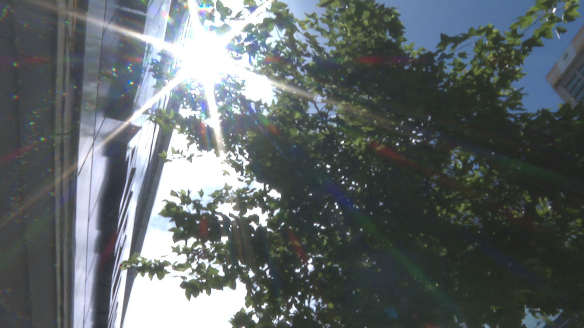 春陽燦爛！白天全台飆35度　週末假期晴熱午後雨、山區少量降雨