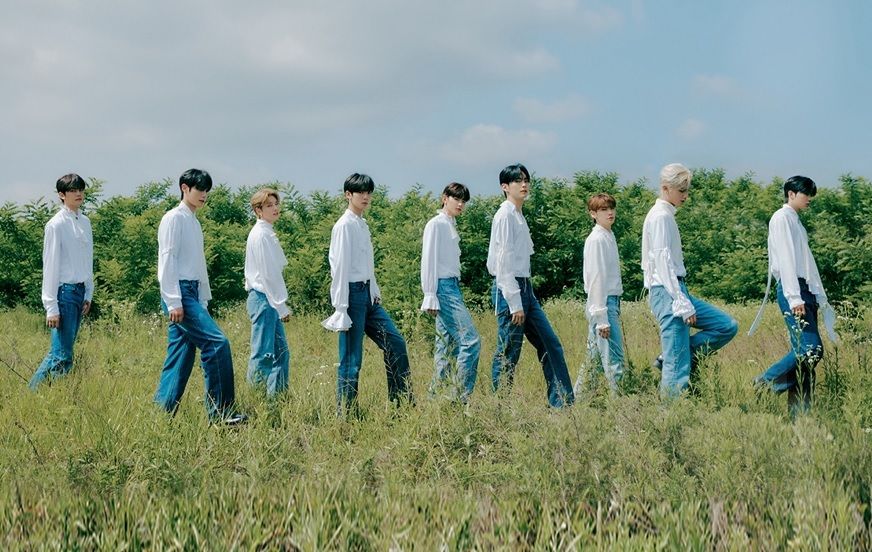 ZB1首日銷量124萬張刷新紀錄　金奎彬頭暈就醫「暫停活動」