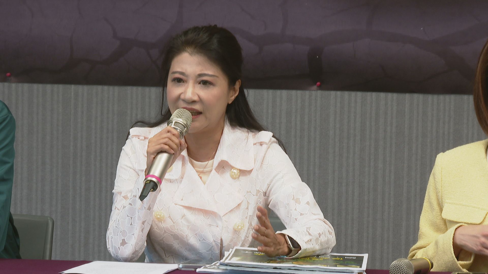 藍營告6部會造謠敗訴　林楚茵：被法院認證「砍預算真的有影響」