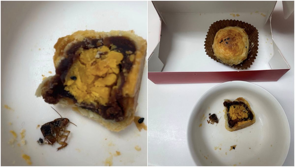 網控「蛋黃酥包蟑螂」遭業者提告獲不起訴　不二糕餅：將提再議