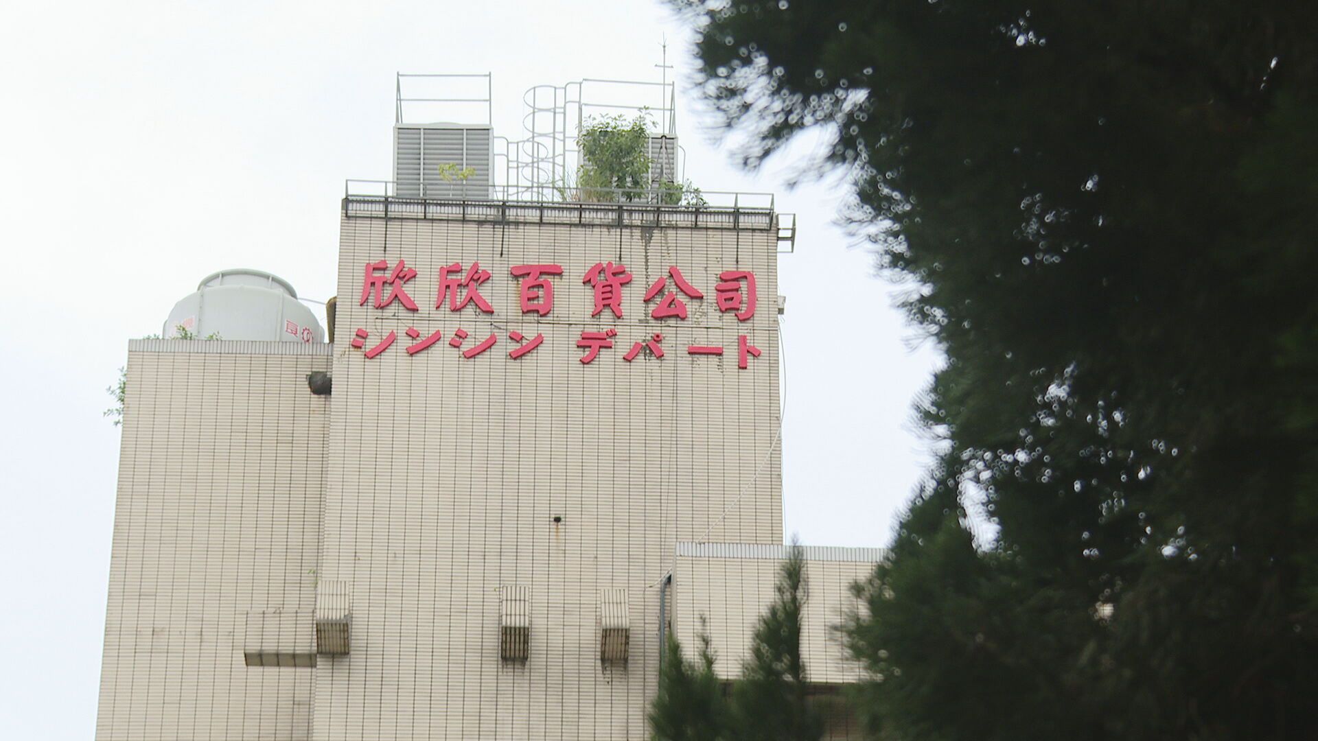 高嘉瑜無緣欣欣百貨董座　前北市政府副祕書長李文英接任