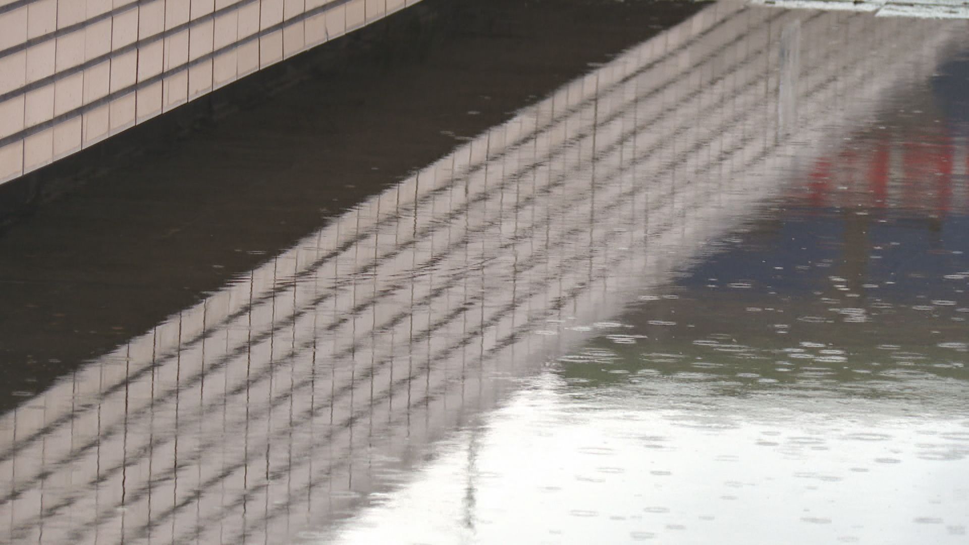 全球極端氣候釀災1／日關東大雷雨「各地閃電」　地鐵停電停駛1小時