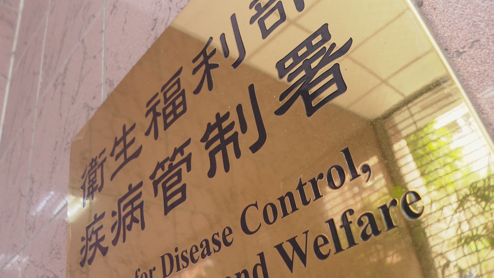 新冠高峰提早到 單週166例重症、25人亡創今年新高