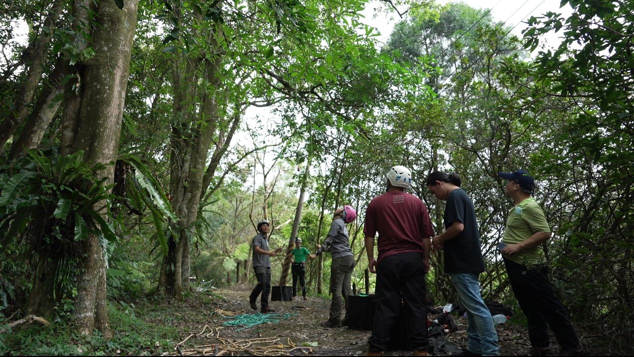 We Want you！冷門科系「森林系」翻身　碳權時代各方搶才　林地覆蓋率六成　為何林業不興？回顧保林運動｜我冷門我驕傲