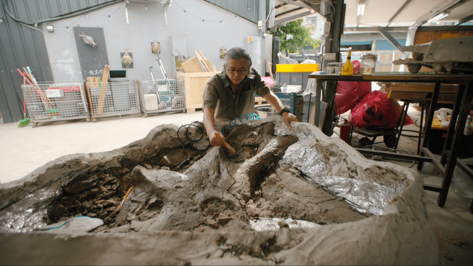 台灣化石先生修復恐龍遺骸！埋藏千萬年　三角龍頭骨破土而出　台灣清修師老蕭修復還原｜我冷門我驕傲