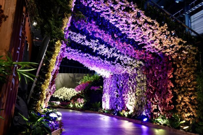 來蘭展一定得體驗被盛開的蘭花包圍的感受。（台南市政府提供）