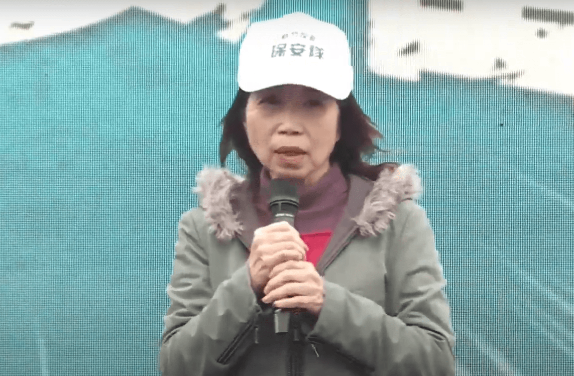 陳昭姿今日宣布「柯文哲醫療小組」正式成立。（翻攝自民眾黨YT直播）