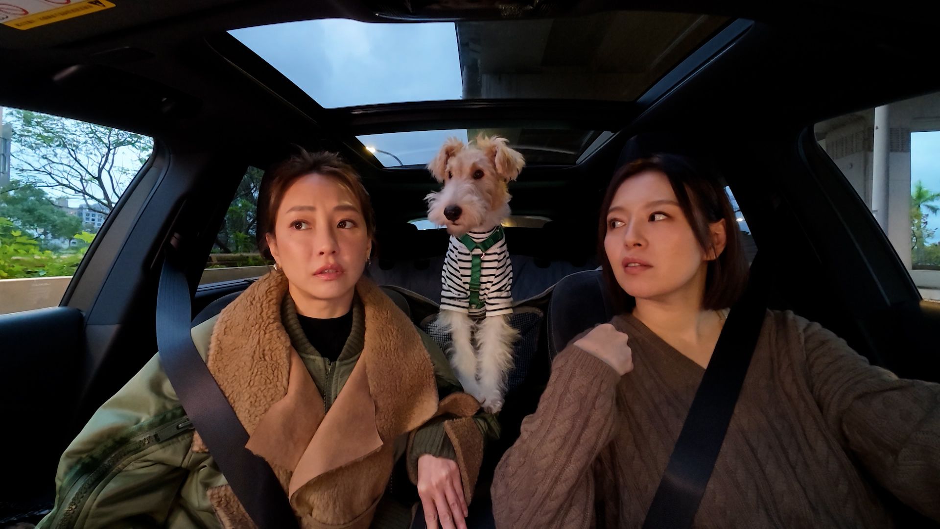 謝欣穎(左)笑說狗兒子Cooper是上天派來療癒她的。