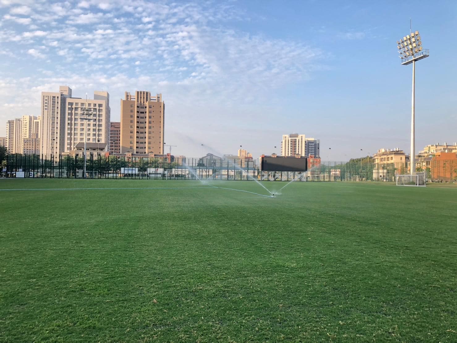 紐西蘭女足來台交流賽因「場地安全」喊卡　5年首場主場國際賽泡湯