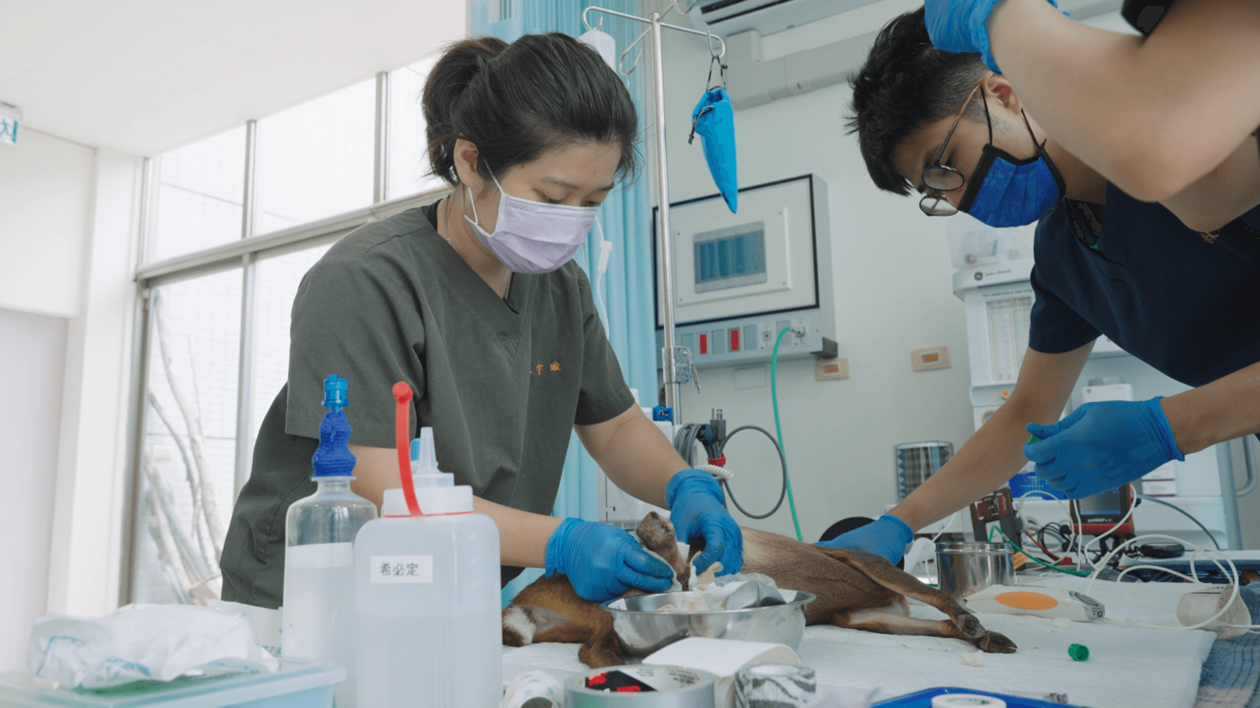 【另一種注目】《誰殺了牠》接連入圍國際影展　一影展入選機率不到1%