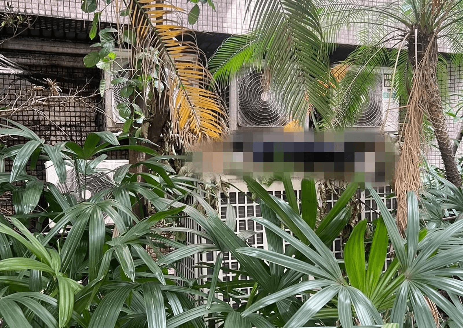 北市聯醫忠孝院區連日臭味驚傳命案　「腐屍躺冷氣室外機」身分曝光