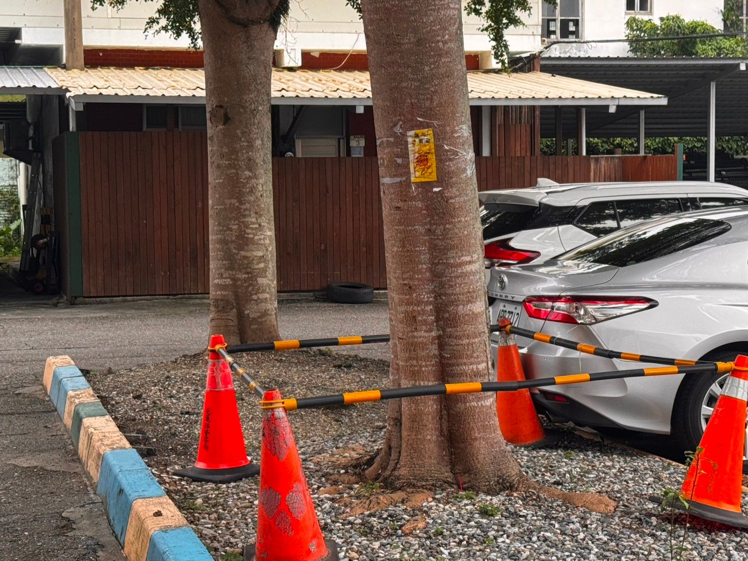 吉安警分局停車場的某棵樹被貼上符咒。（民眾提供）