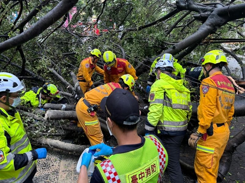 逢甲大學路樹倒塌奪命　23歲男碩士生遭重壓送醫不治