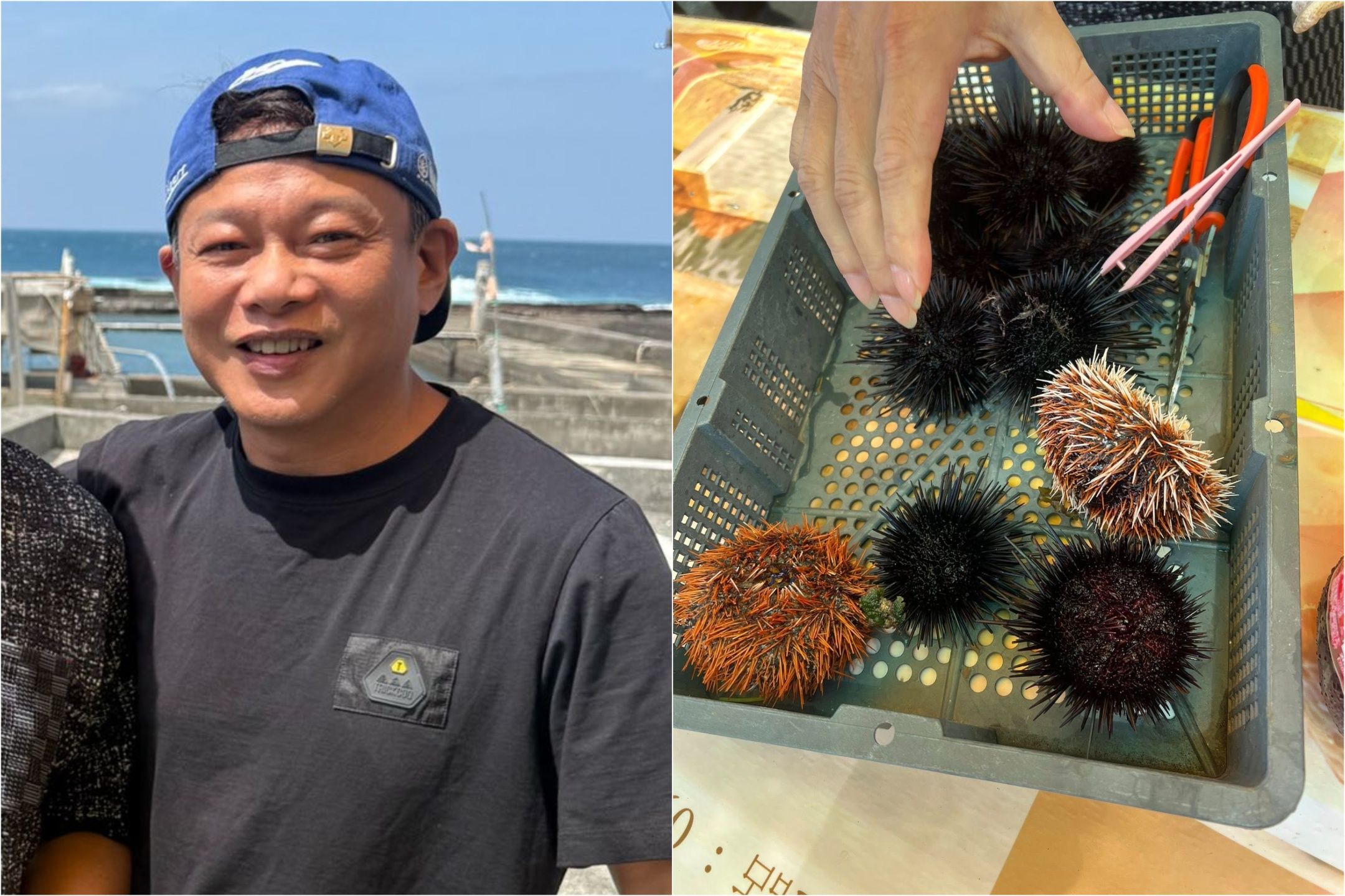 李康生誤闖「養殖池撈海膽」已和解　道歉自嘲：成了海賊王