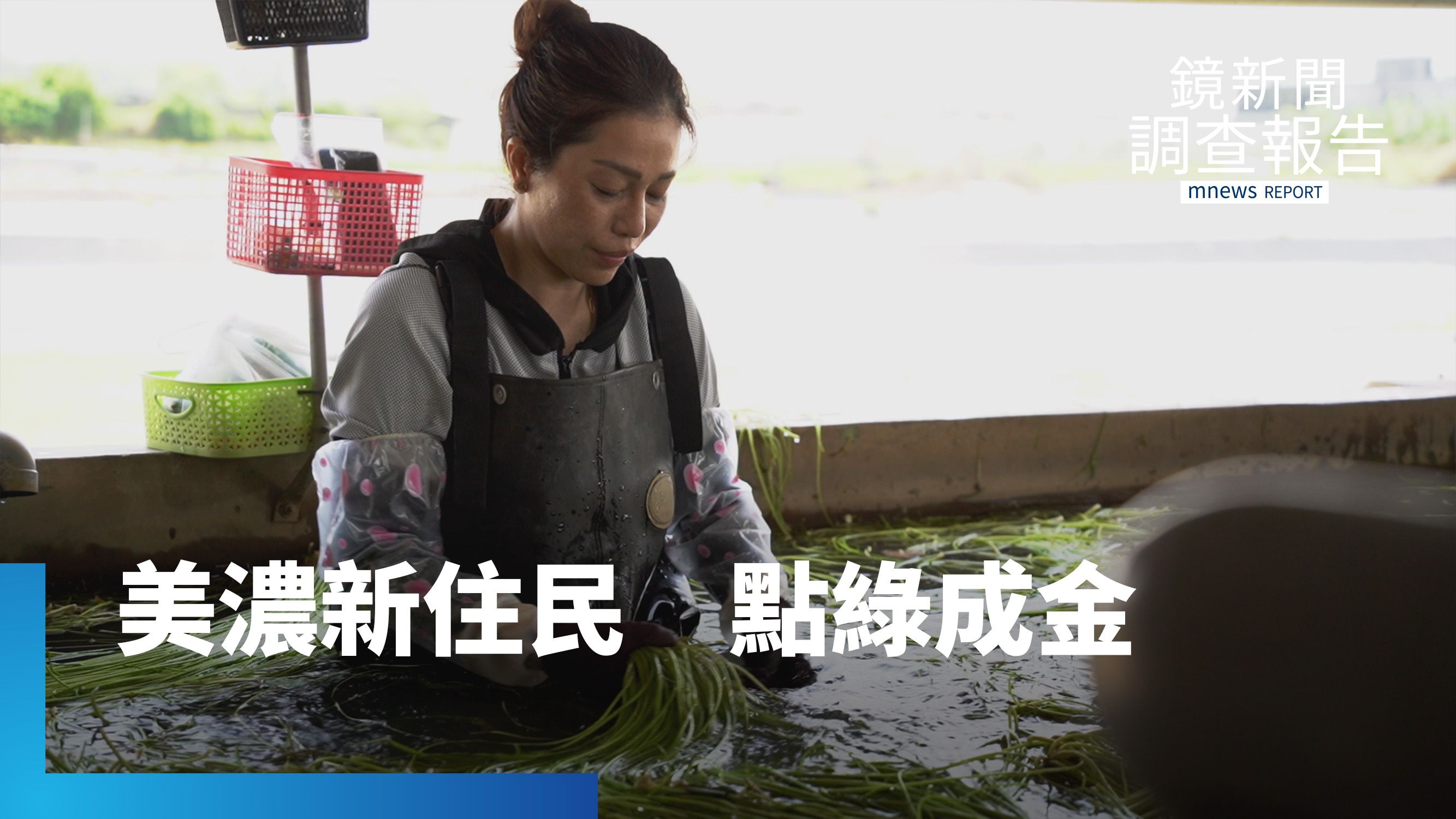 翻轉農業未來　美濃「新住民」撐起億元產業｜她在這裡卻不屬於這裡