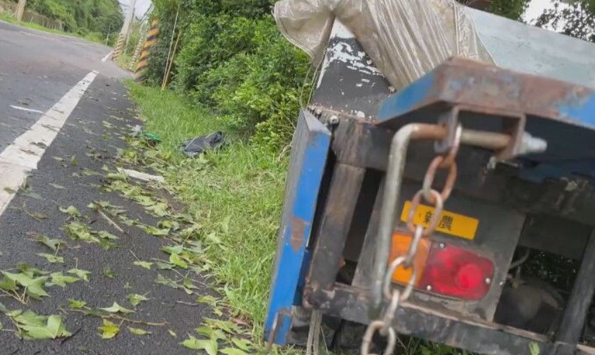 颱風天奪命！69歲農民遭椰子樹壓中身亡　兒受傷送醫治療