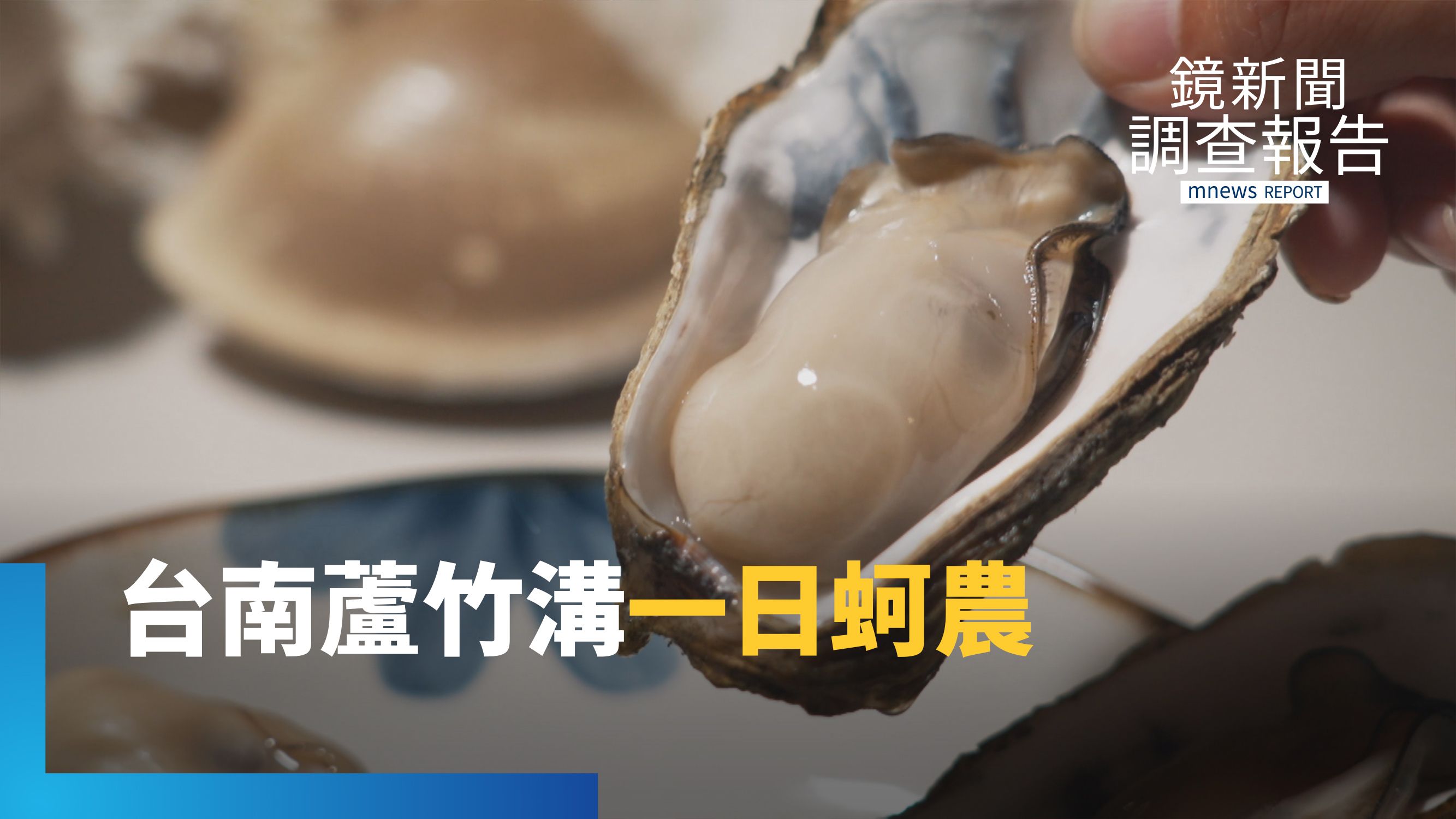 台南蘆竹溝拚重生　光電風暴後華麗轉身