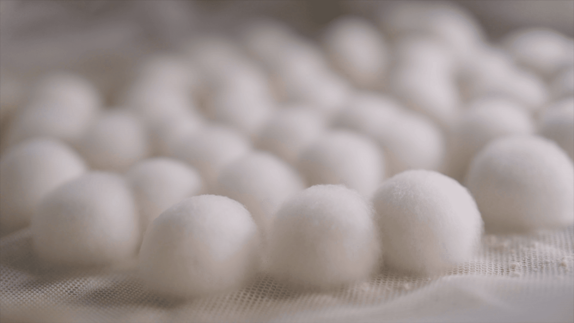 出力釀的酒麴是採集部落九種植物製成，是釀酒的靈魂。