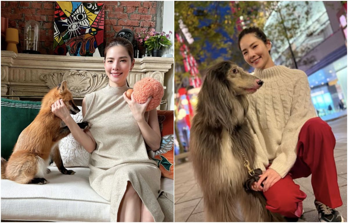 6年吸金2.5億！弱勢募款遭挪用買豪宅名車　前名模還涉藏通緝犯