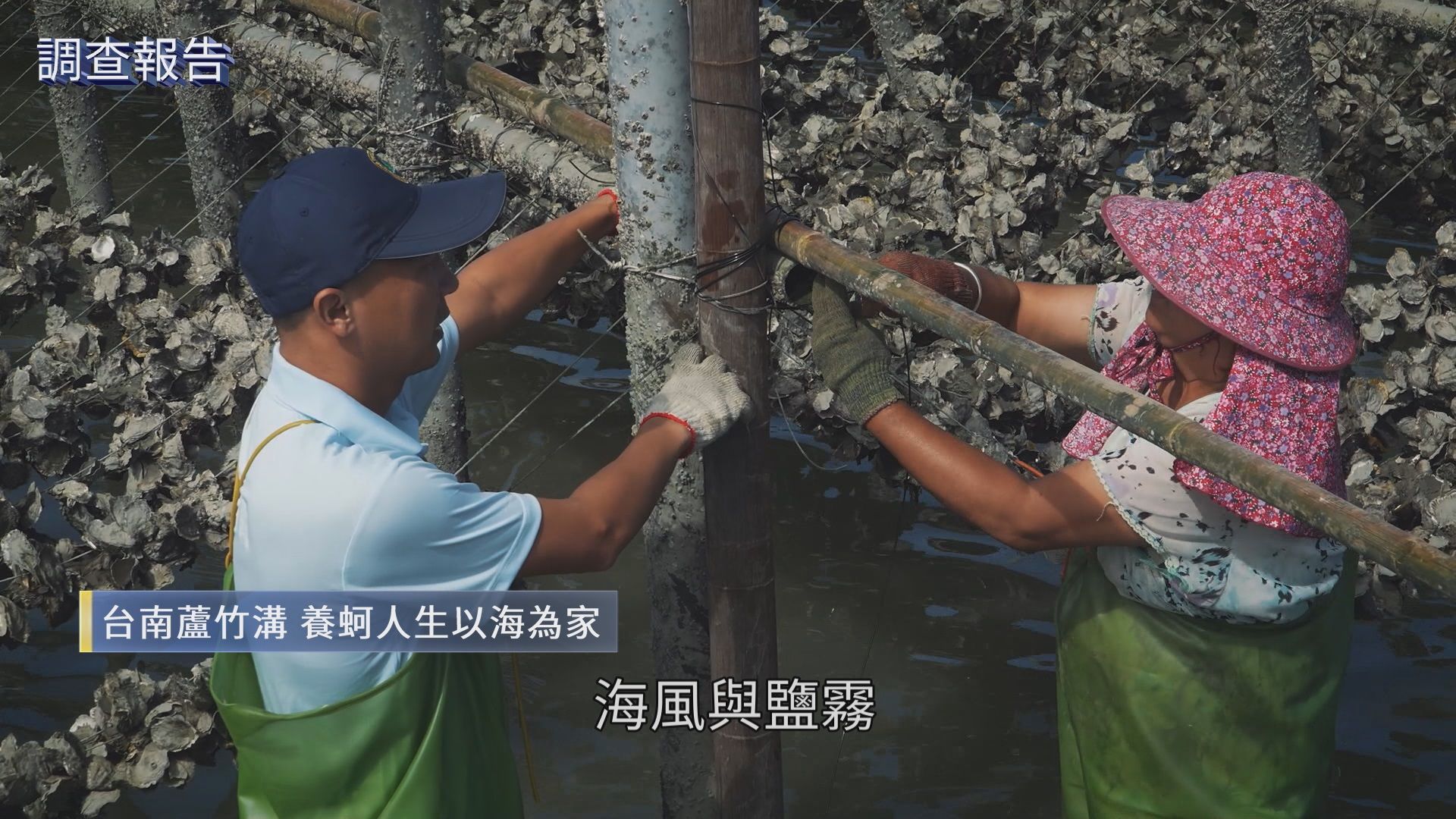 台南蘆竹溝當地青年串聯社區，打造蚵農體驗遊程、培訓長輩成為導覽員。
