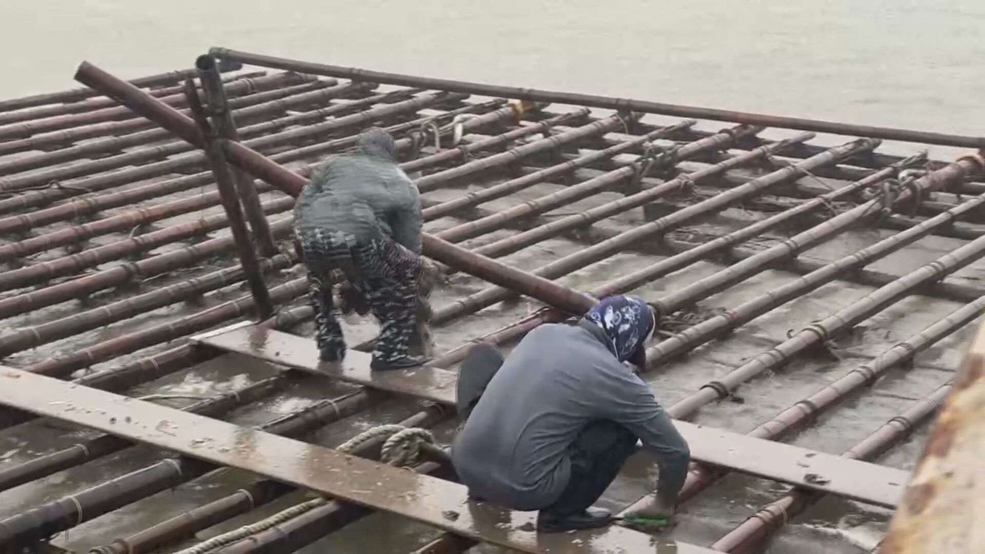 楊柳貫穿台灣 颱風假機率曝5/丹娜絲後蚵產量剩兩成 又有颱風來蚵農急搶收