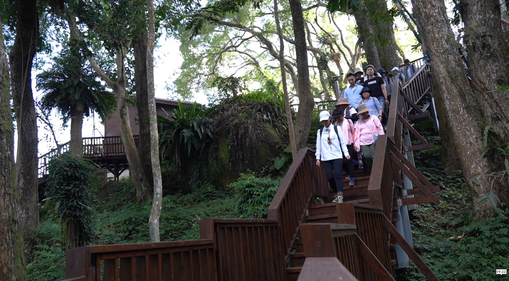 南投的「森林療癒」帶來身心滌淨之旅。