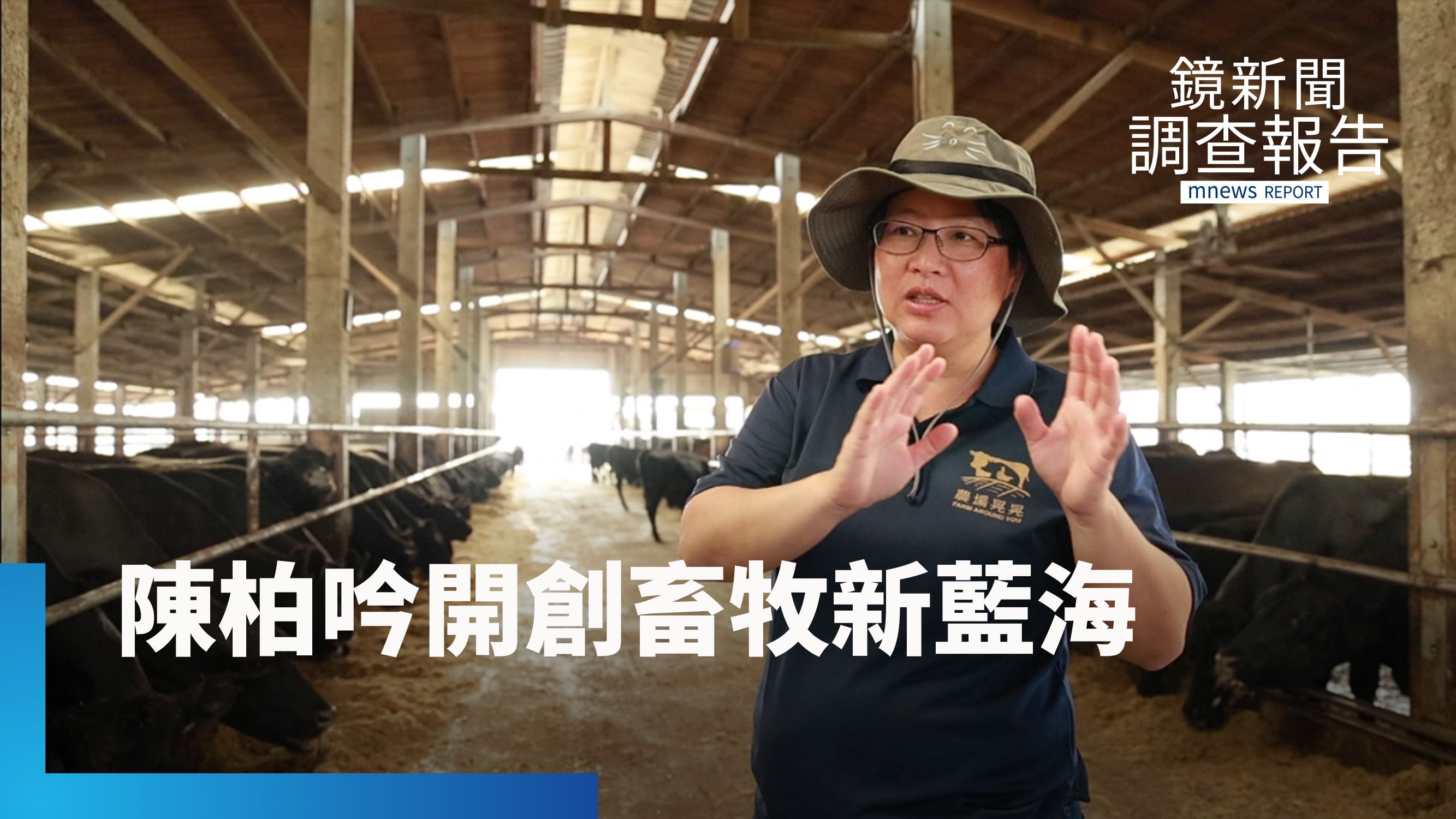 從零開始養豬的挑戰　飼育台版安格斯牛全台第一　擦亮雲林畜牧大縣招牌｜女字旁的勇氣
