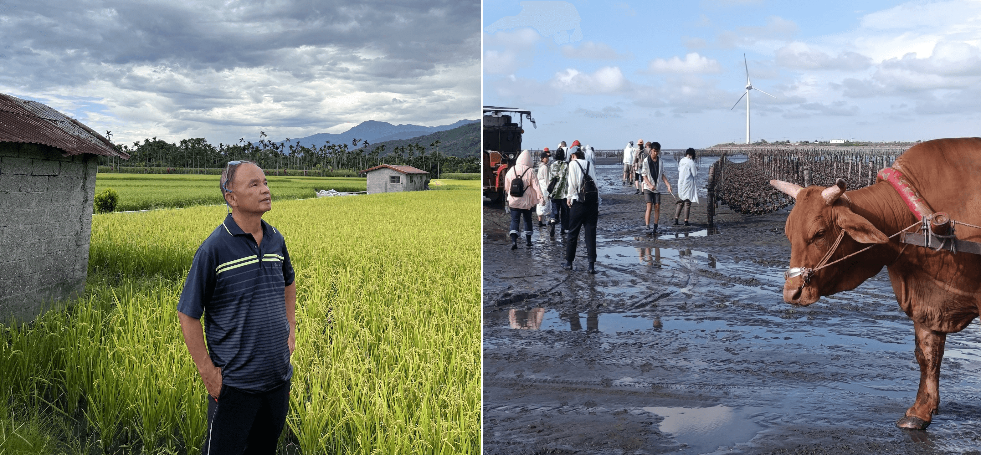 「海牛文化」靈魂人物辭世 魏清水守護芳苑濕地半生享年58歲