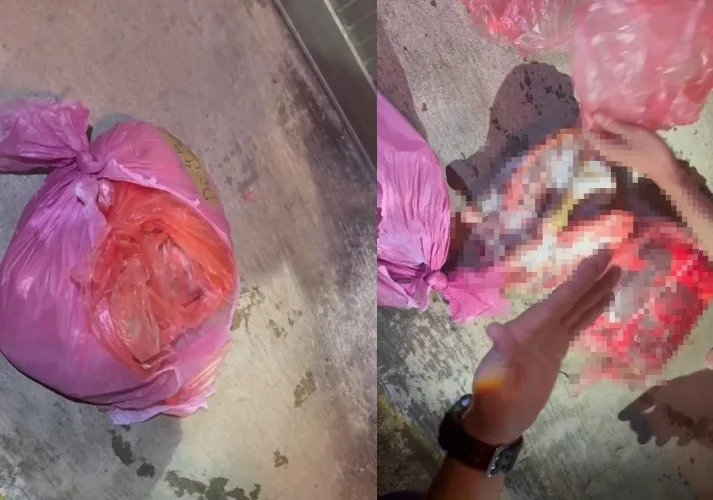 牠曾經是一條生命...中秋爆賣狗肉！交貨「驚見雙腿尾巴」　跑腿移工：肉品來自台中山區