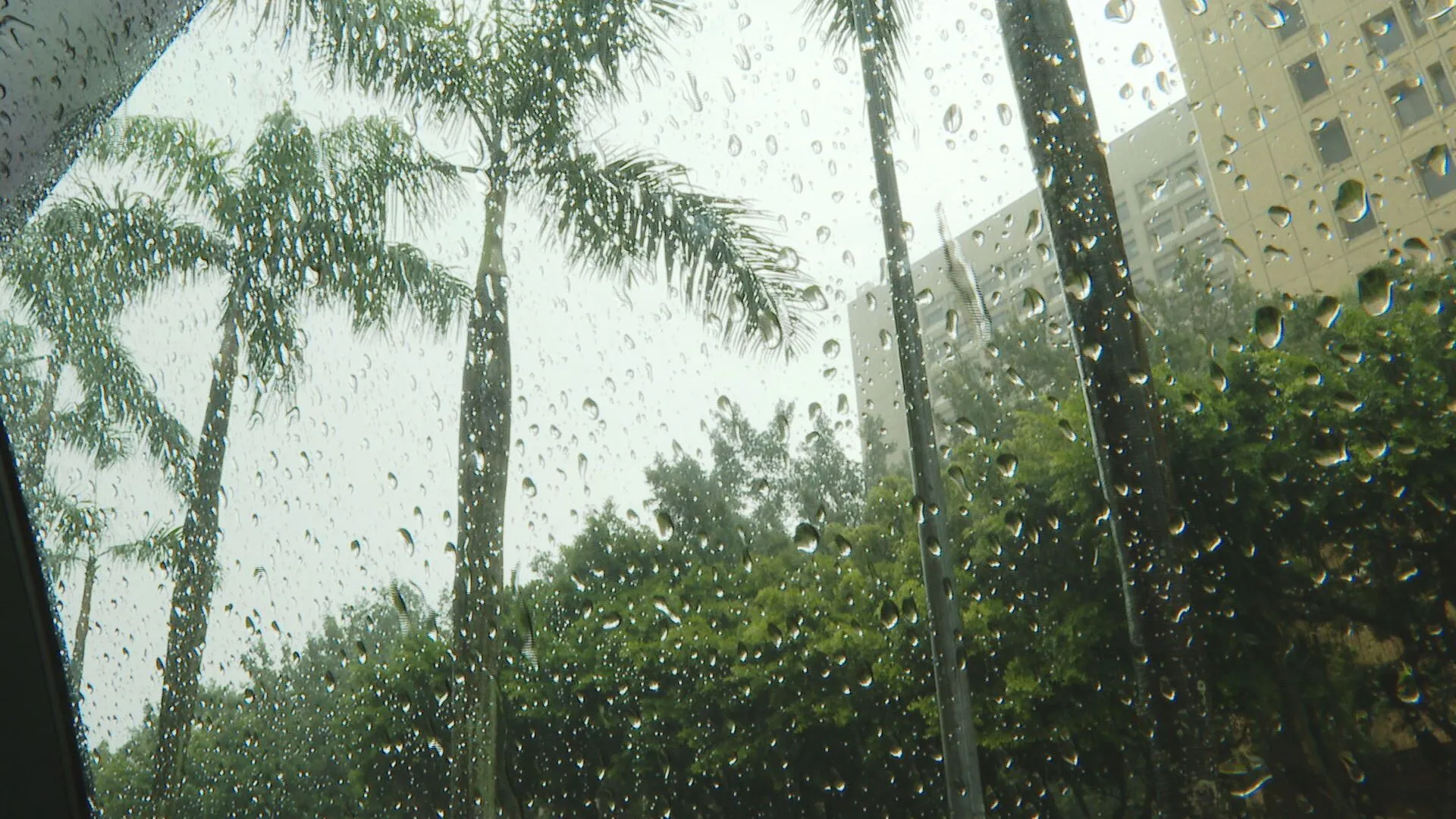 低壓帶或低氣壓影響！北宜花間歇雨　中南部台東午後雷雨