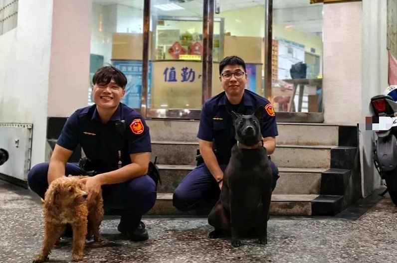 旗津派出所警犬立大功　「汪」一聲吠叫！協助警員尋獲失蹤紅貴賓