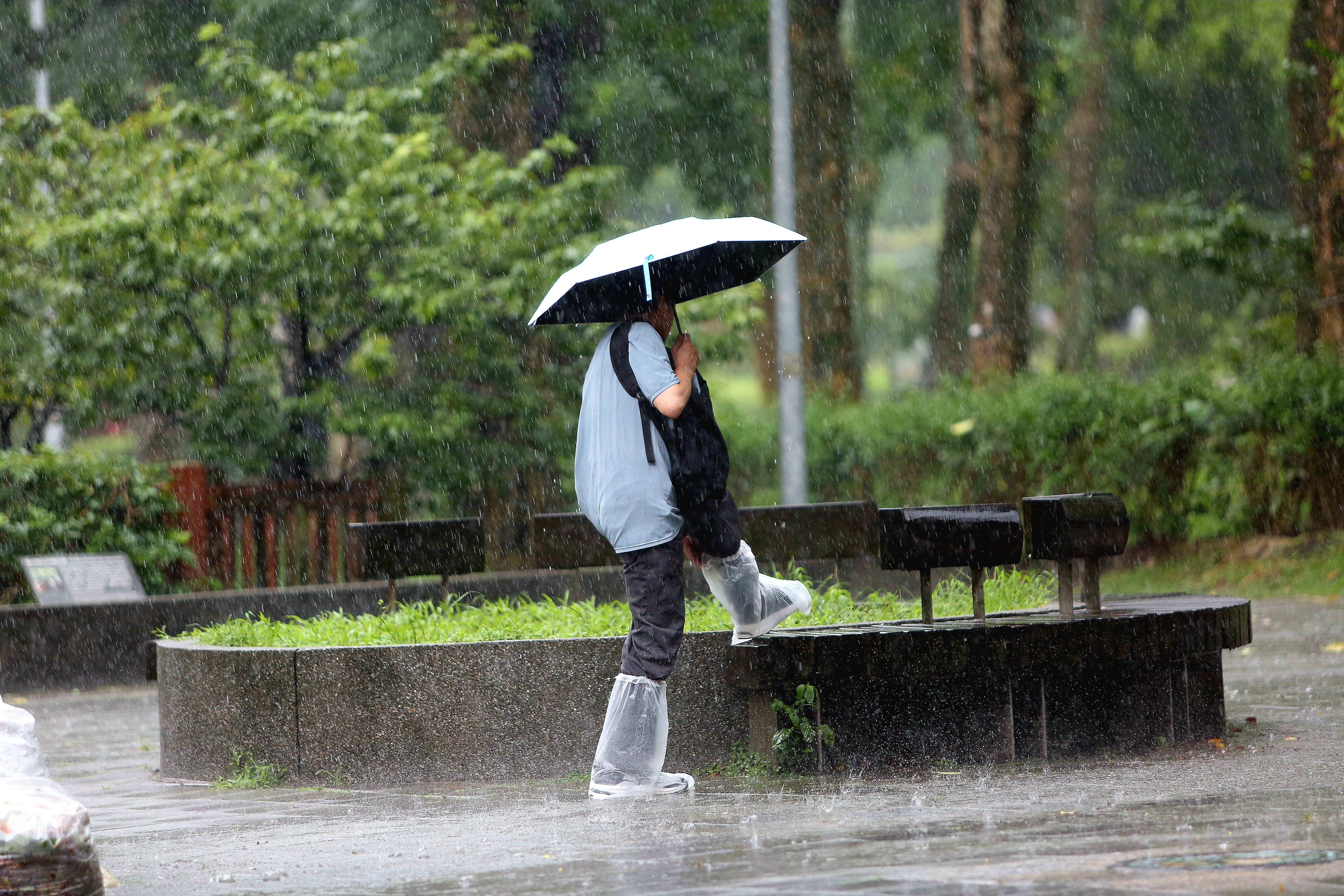 中央氣象署針對8縣市發布大雨特報。(鏡報姜永年)