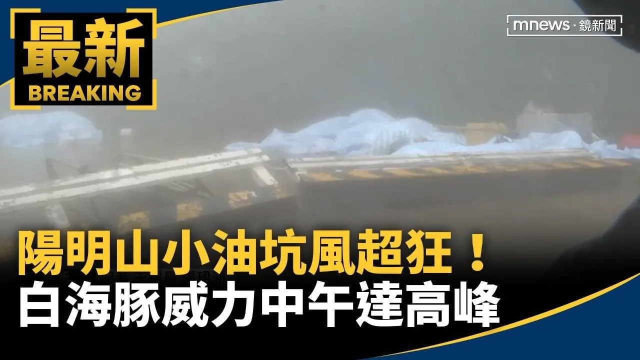 陽明山小油坑風超狂！　鄭明典：白海豚威力中午達高峰