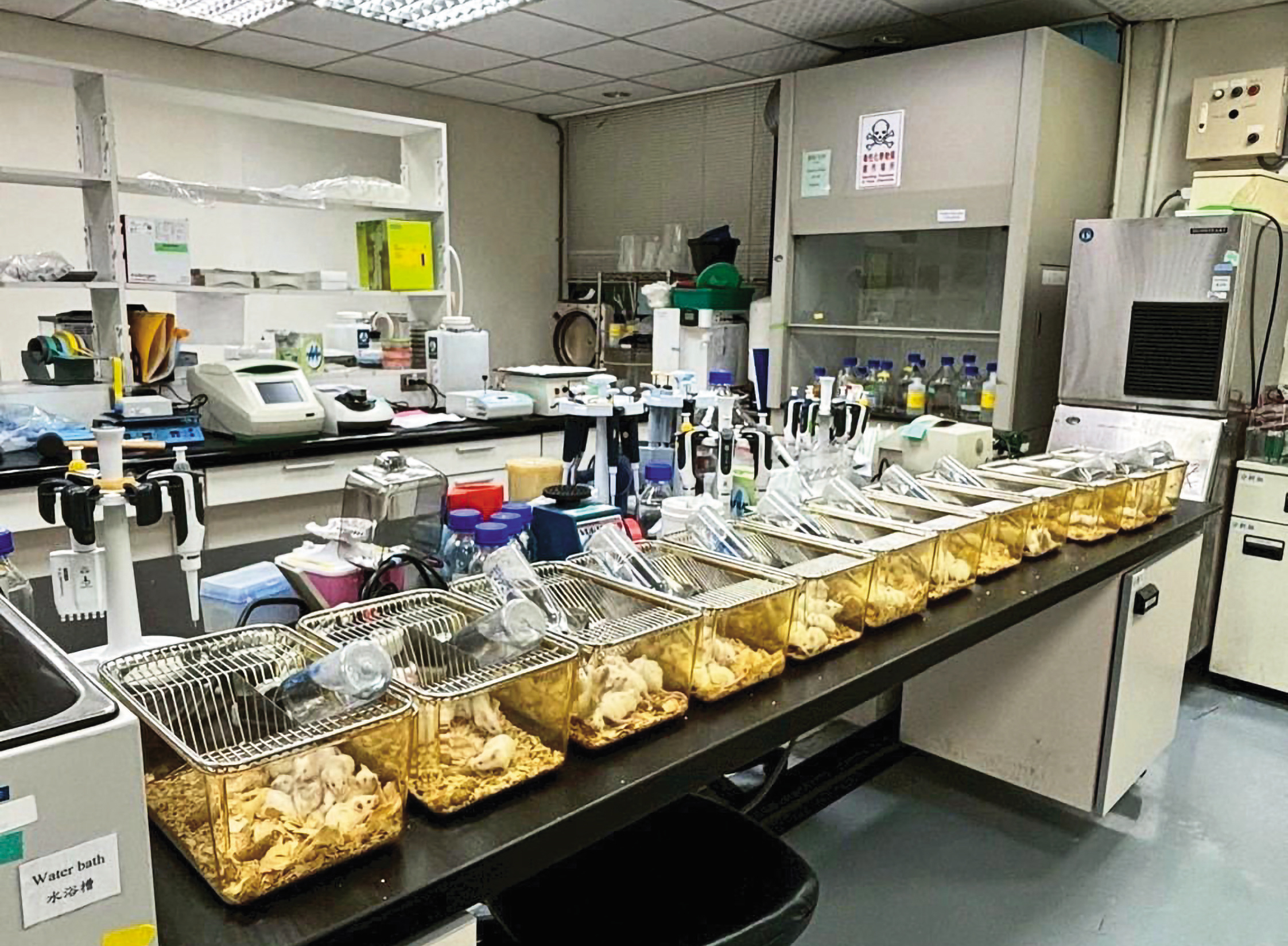 國光生技員工違規將120隻白老鼠放在實驗室3天,導致惡臭瀰漫、毛屑滿屋,造成嚴重汙染。(讀者提供)