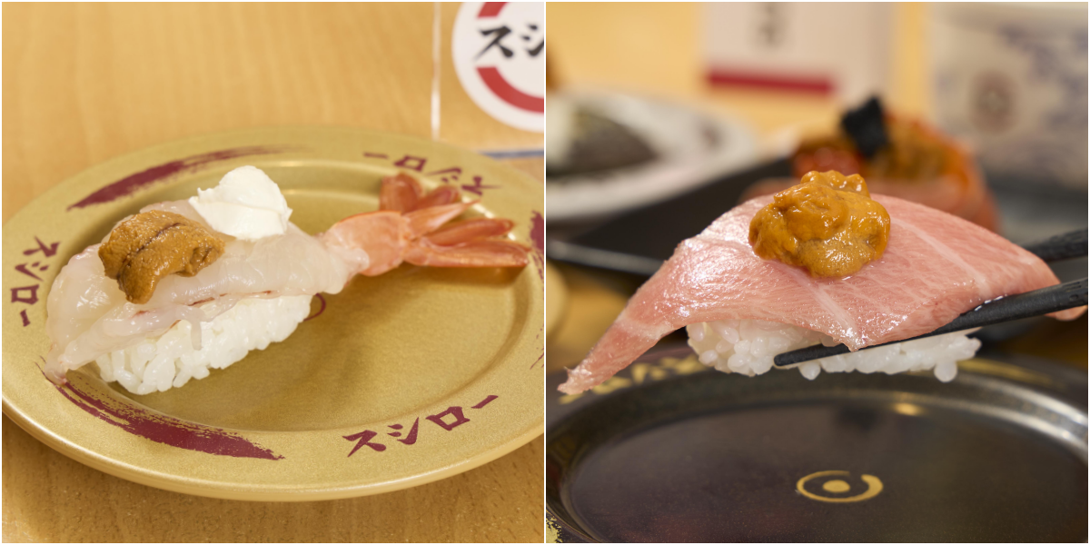 60元就吃得到！壽司郎推6款海膽限定料理　赤蝦、黑鮪魚大腹奢華上菜