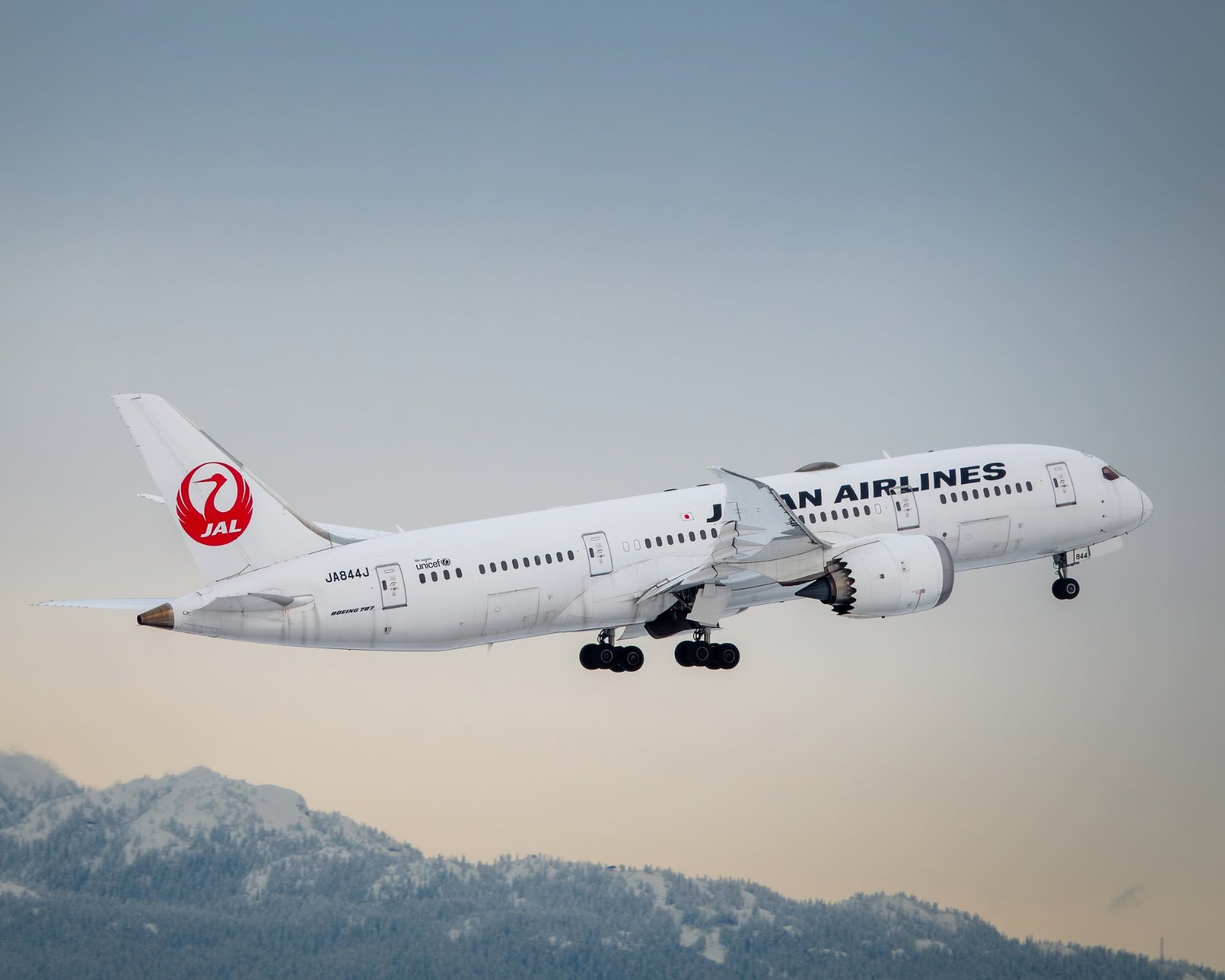 日本航空1名空服員因亂流重摔,導致左側肋骨骨折。(翻攝自臉書@Japan Airlines)