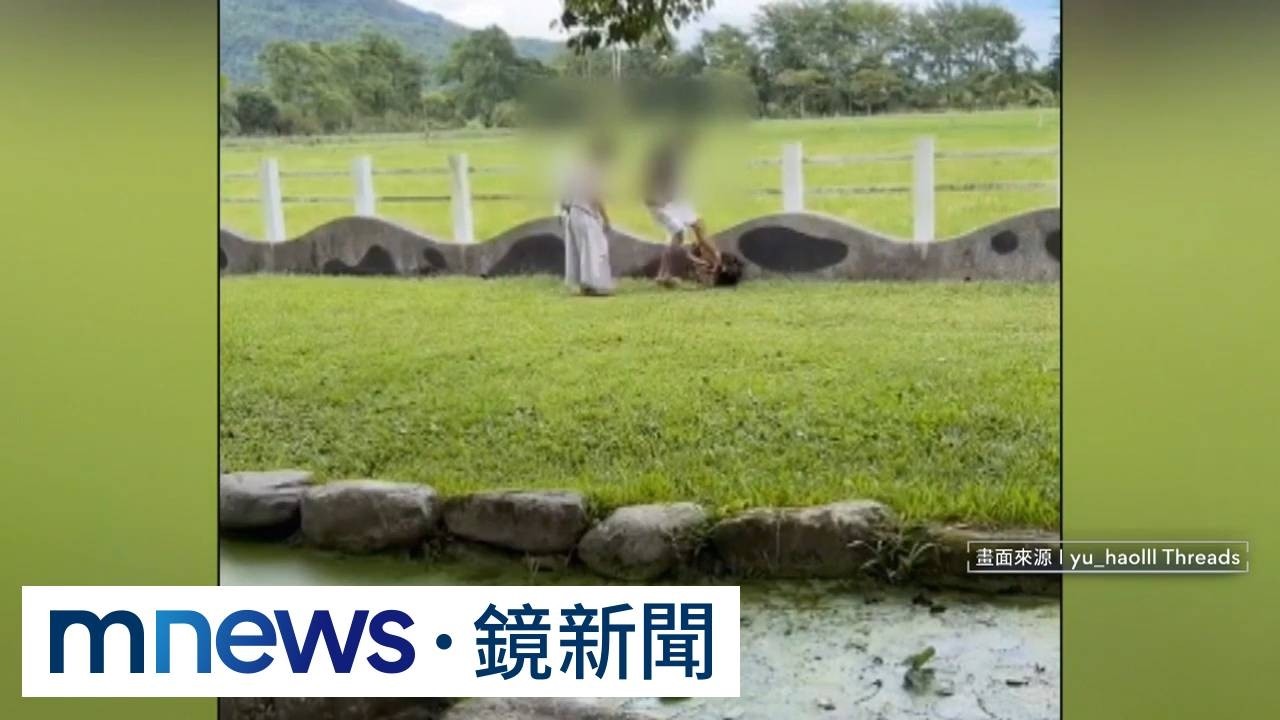 小黑狗闖農場放牧區追鴕鳥　飼主失控暴打、重踹愛犬
