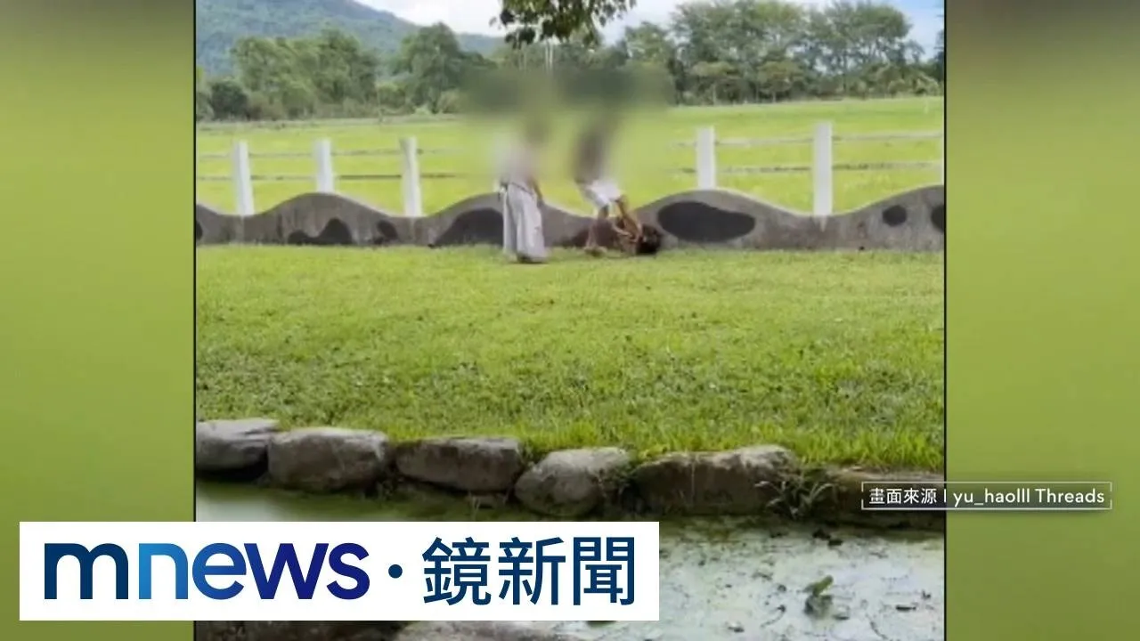 小黑狗闖農場放牧區追鴕鳥　飼主失控暴打、重踹愛犬