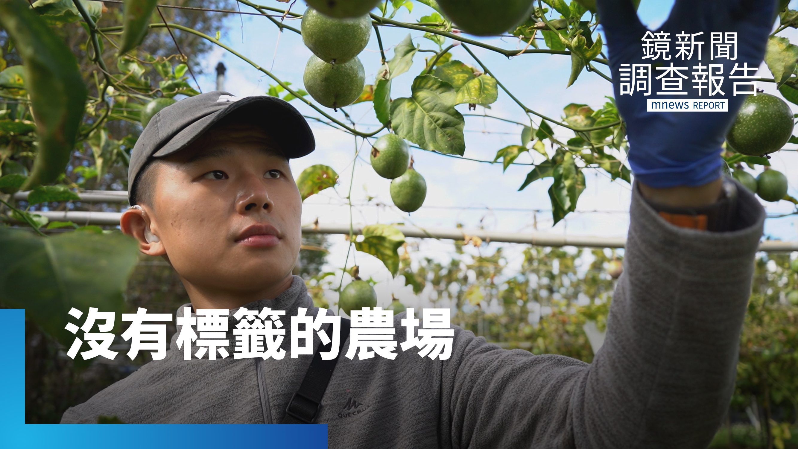 不只是被照顧者　陳俞安打造沒有標籤的百香果農場　盼打造身障農耕隊　解決農業缺工｜把脆弱培養成力量