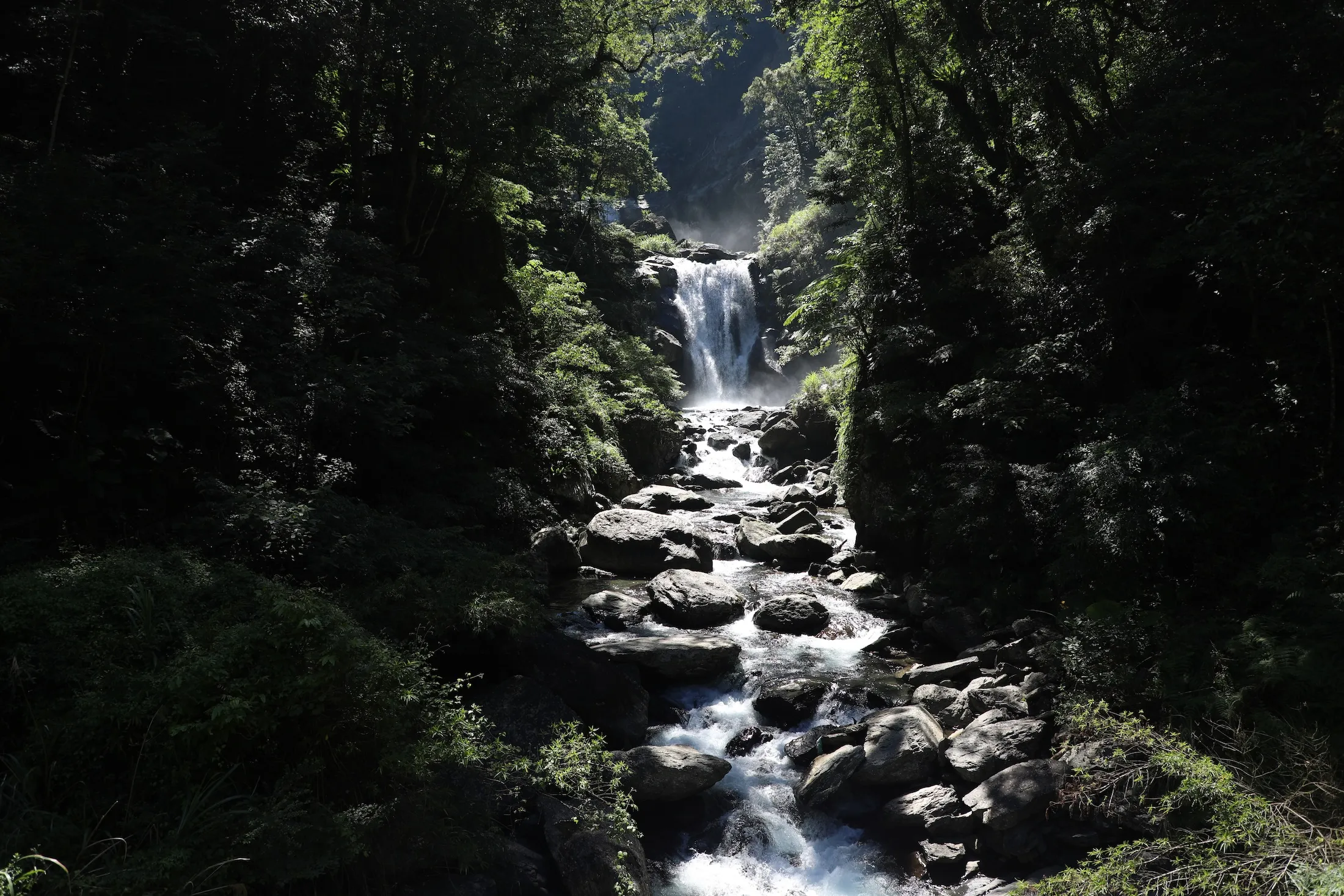 不必爬高山也能享受森林浴！烏來內洞瀑布步道僅1公里　平緩柏油路親子、長輩都能走