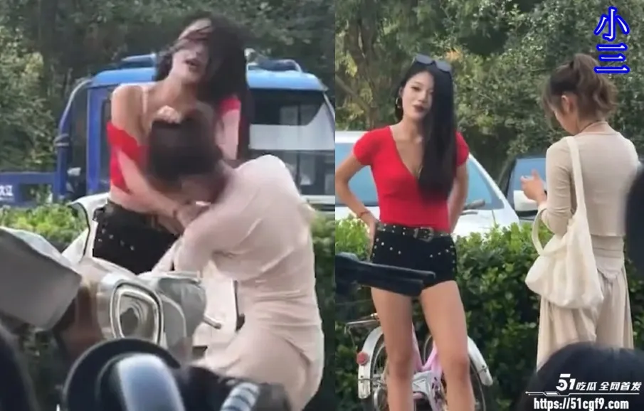 豔麗網美與情敵互毆低Ｖ上衣遭扯走光　網民只論身材不論是非公審小三