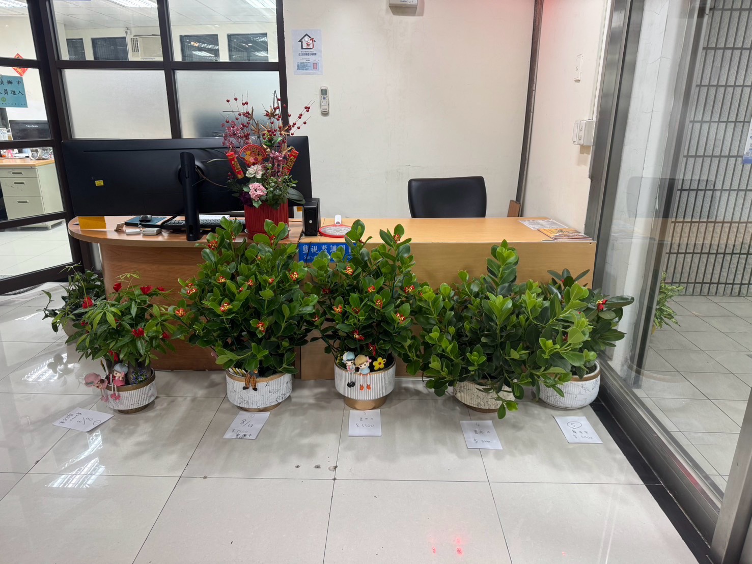 女子深夜偷花店5大盆盆栽。(警方提供)