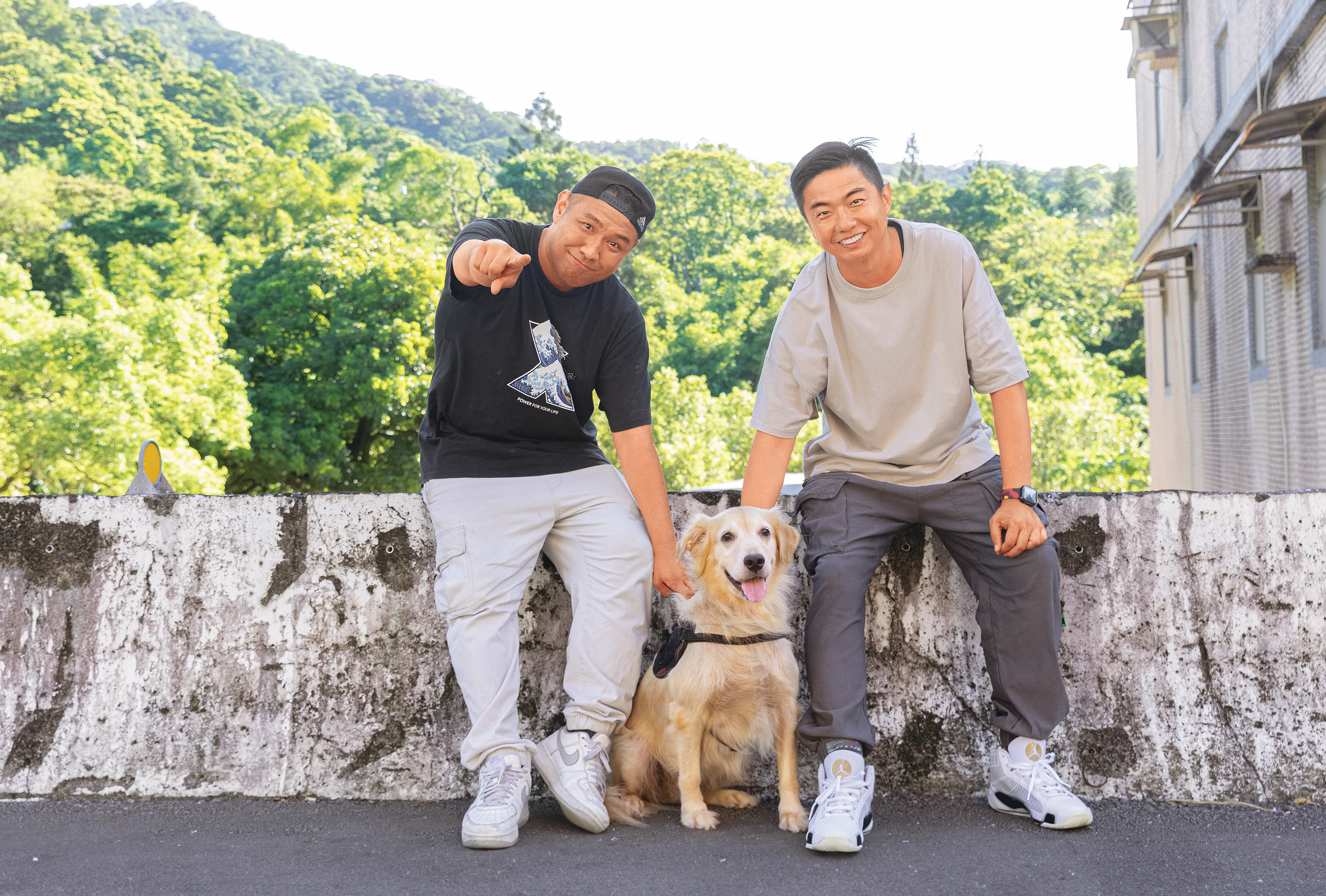 熊爸估狗／市區搬入深山難適應　余至中黃金獵犬脫毛頻發炎