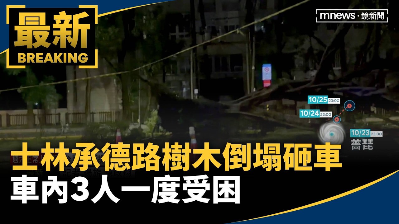 士林承德路樹木倒塌砸車　車內3人一度受困