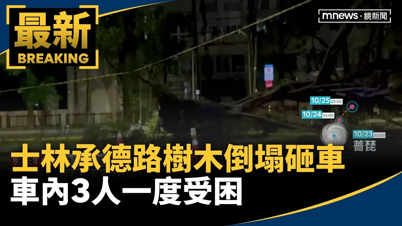 士林承德路樹木倒塌砸車　車內3人一度受困